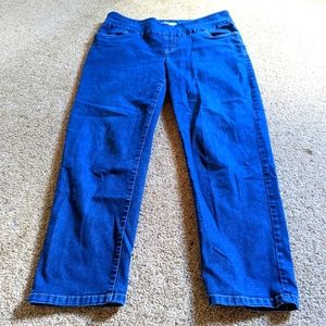 Woman Within Stretch Denim Style Pants Petite 16W